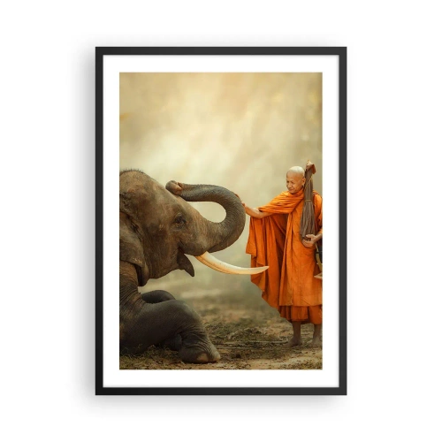 Plagát v čiernom ráme - Mních v oranžovom rúchu so slonom v pozadí - 50x70cm - Stretnutie na cestách - Moderná nástenná dekorácia do obývacej izby a spálne ARTTOR