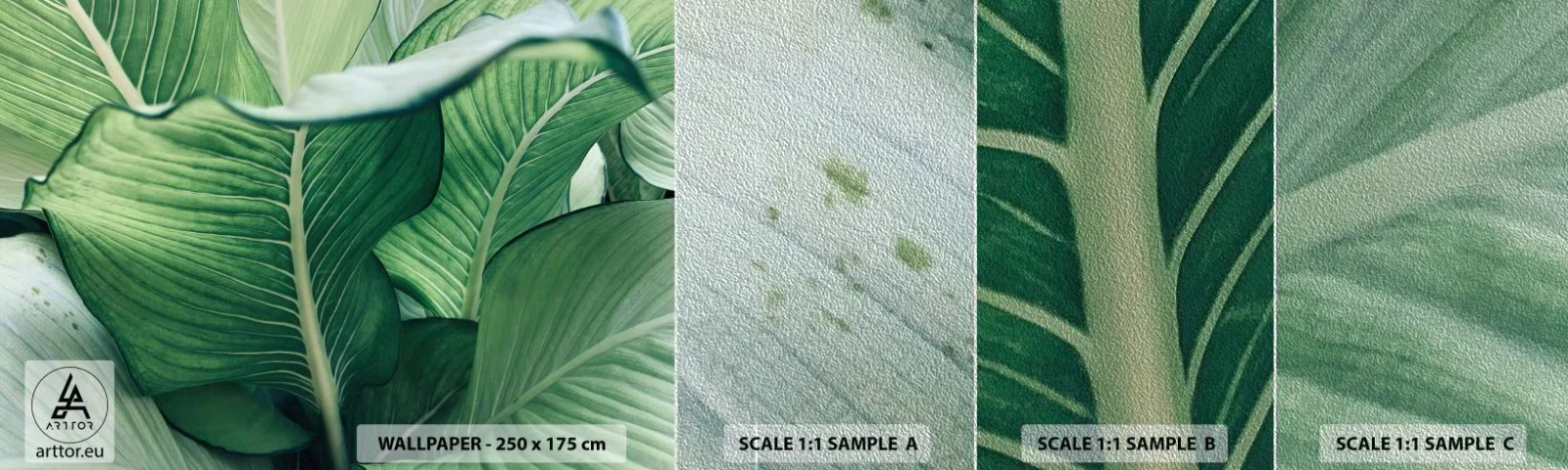 Vzorka fototapety Premium Sand - Intenzívne zelený život - Listy, Exotické, Botanický - 100x30 cm