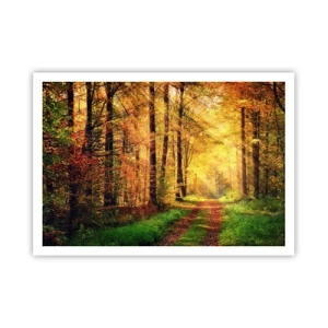 Plagát - Lesno-zlaté ticho - 100x70 cm