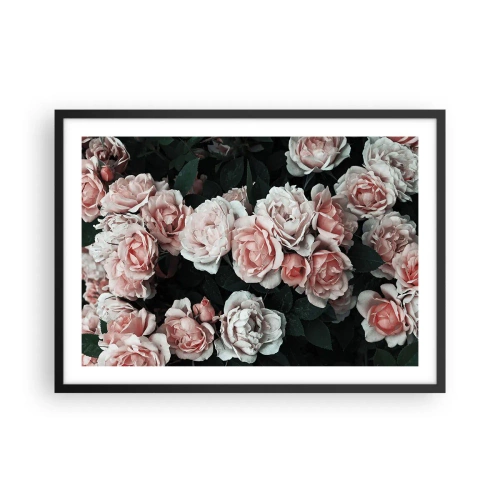 Plagát v čiernom ráme - Ružový ansámbl - 70x50 cm