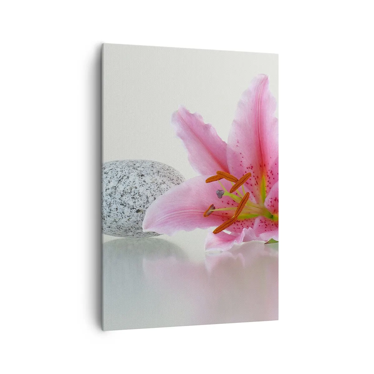 Obraz na plátne - Štúdia v ružovej, šedej a bielej - 70x100 cm