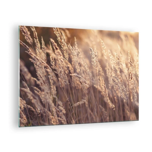 Obraz na skle - Zlaté trávy osvetlené lúčmi zapadajúceho slnka - 70x50cm - Pripravení privítať jeseň - Moderná nástenná dekorácia do obývacej izby a spálne ARTTOR