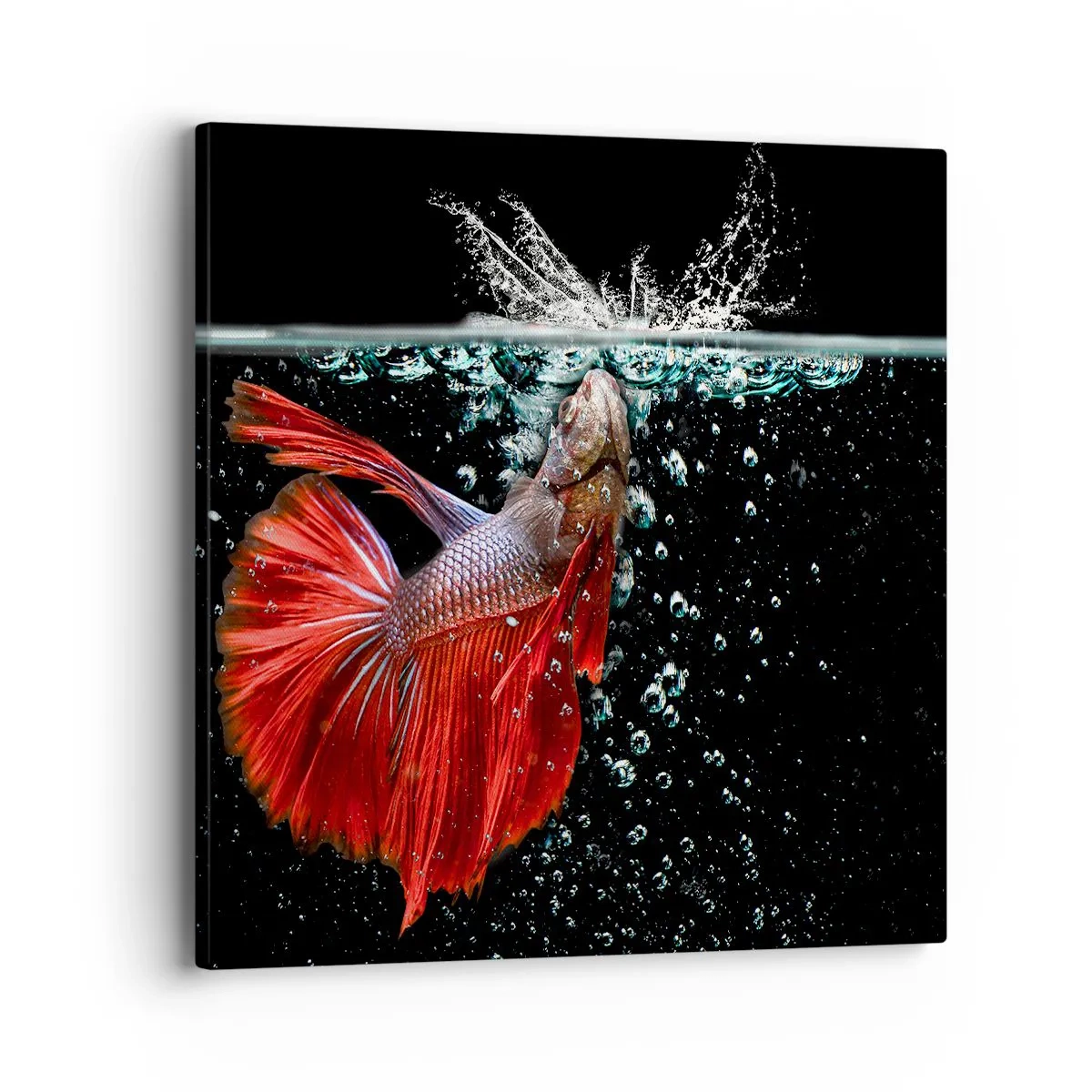 Obraz na plátne - Máš tri priania - 40x40 cm