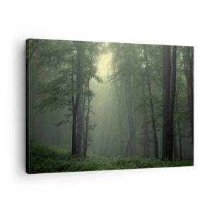 Obraz na plátne - Zelený les ráno zahalený v jemnej hmle - 70x50cm - Než sa prebudí - Moderná nástenná dekorácia do obývacej izby a spálne ARTTOR