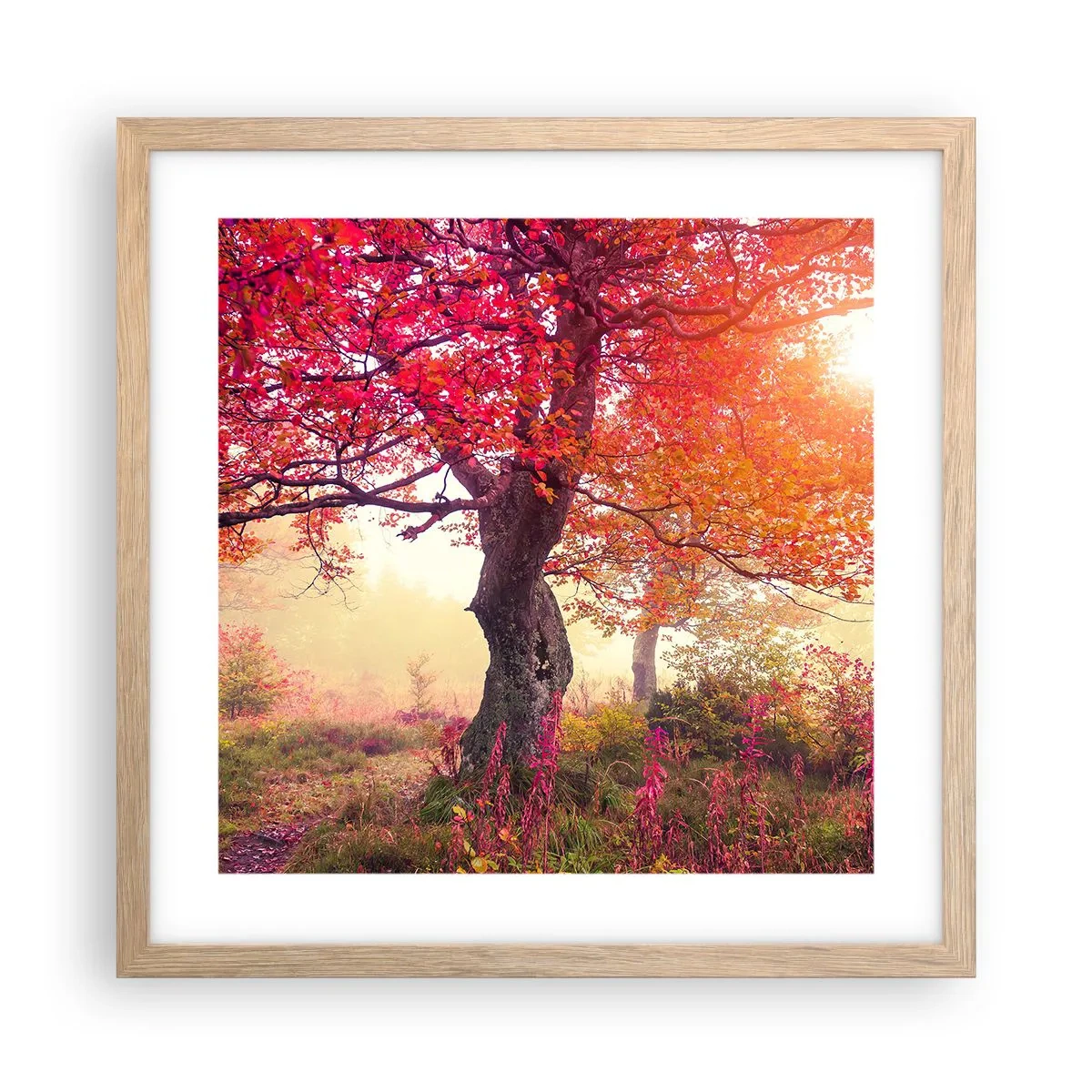 Plagát v ráme zo svetlého duba - Šialenstvo rozkvetu - 40x40 cm