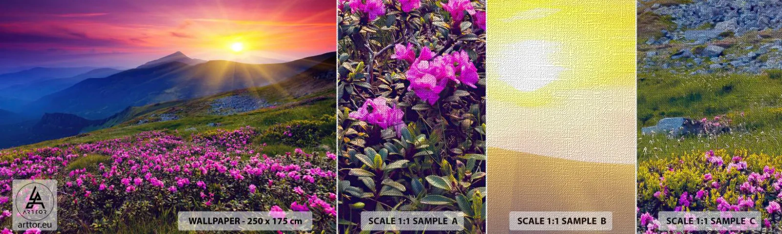 Vzorka fototapety Premium Canvas - …A okolo vonia kosodrevina a voňajú byliny - Krajina, hory, Západ slnka - 100x30 cm