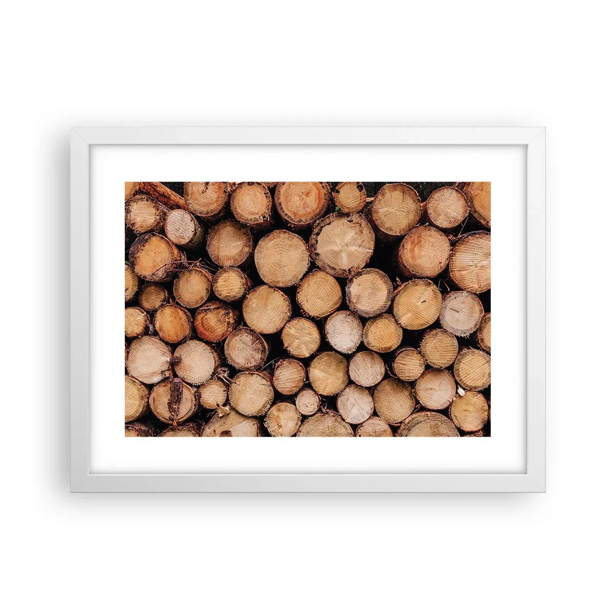 Plagát v bielom ráme - Nový začiatok - 40x30 cm