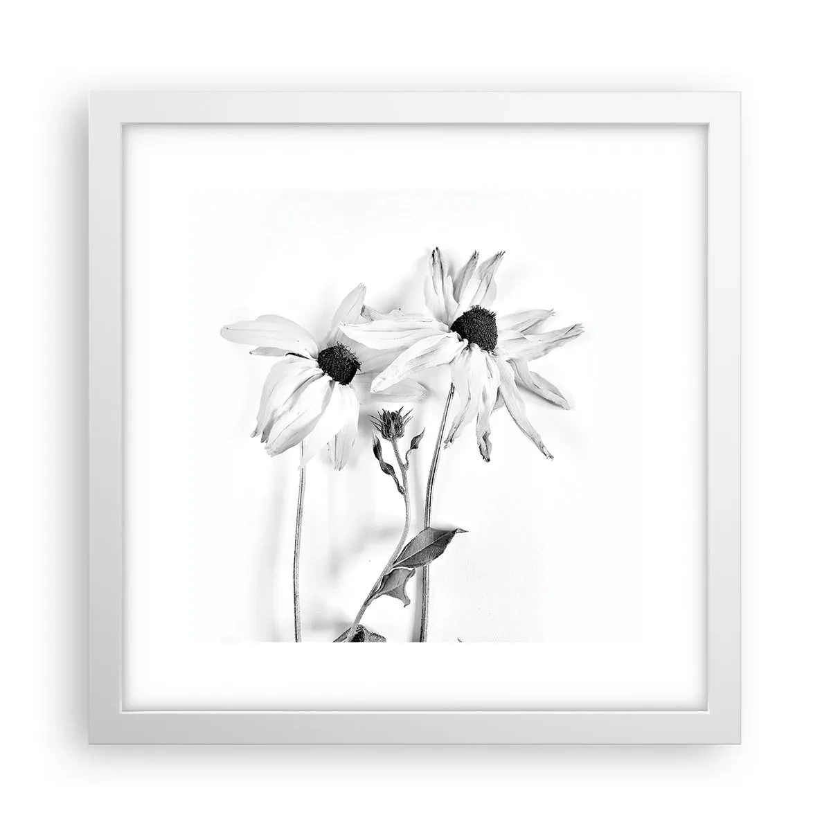 Plagát v bielom ráme - Nikto nechce byť sám - 30x30 cm