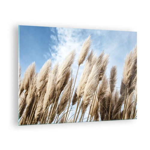 Obraz na skle - Dekoratívne pampové trávy proti modrej oblohe - 70x50cm - Slnečné a veterné pohladenie - Moderná nástenná dekorácia do obývacej izby a spálne ARTTOR