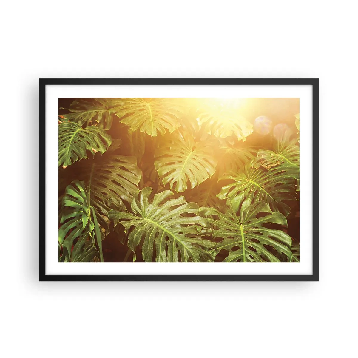 Plagát v čiernom ráme - Vstúpiť do zelene… - 70x50 cm