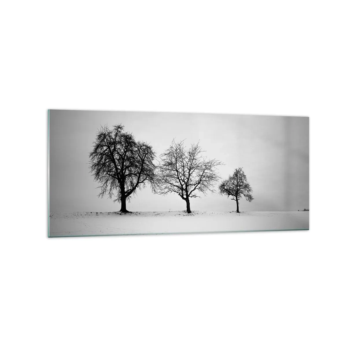 Obraz na skle - O čom sníva? - 120x50 cm