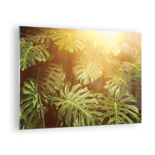 Obraz na skle - Zelené listy monstery v zlatom svetle tropického slnka - 70x50cm - Vstúpiť do zelene… - Moderná nástenná dekorácia do obývacej izby a spálne ARTTOR