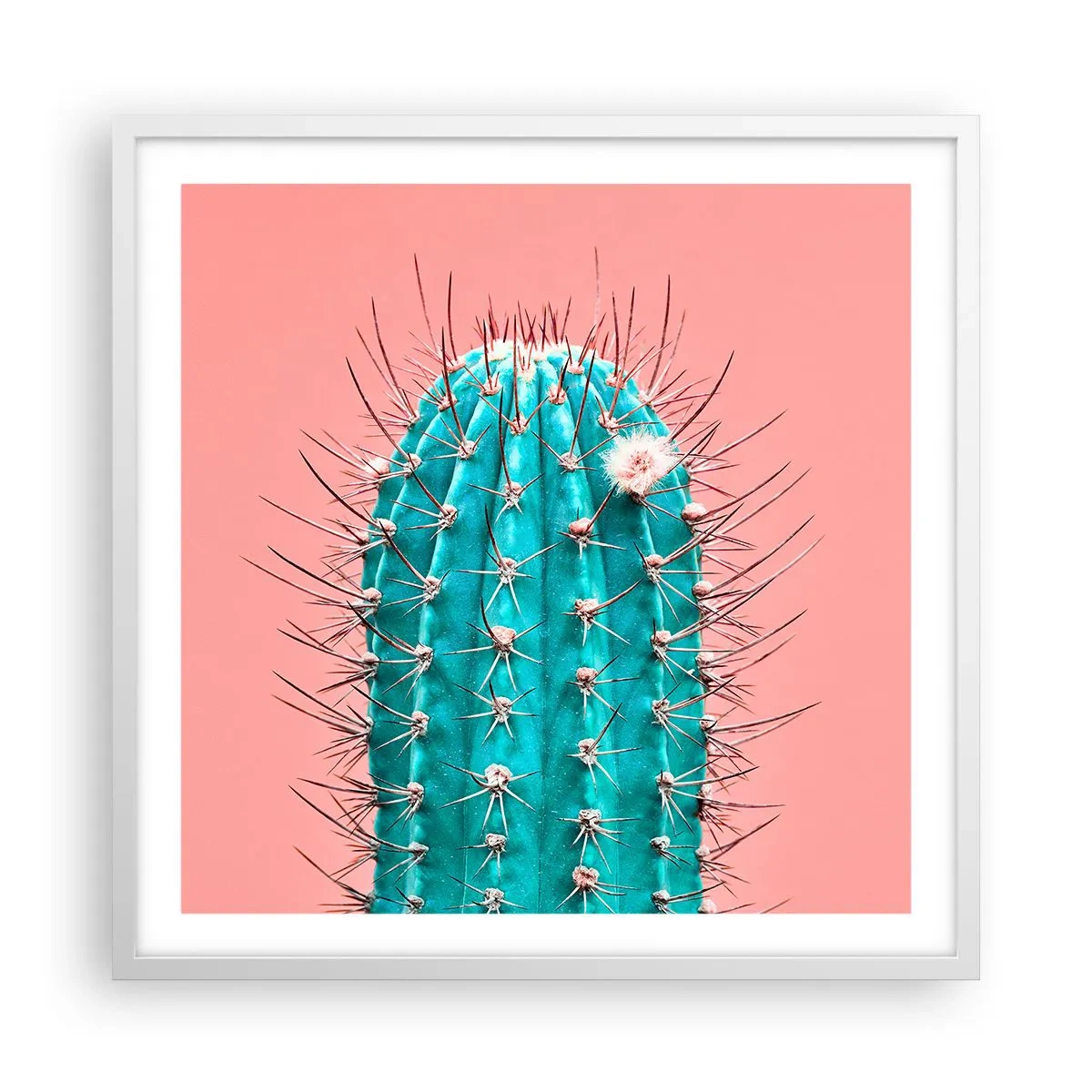 Plagát v bielom ráme - Len pozeraj - 60x60 cm