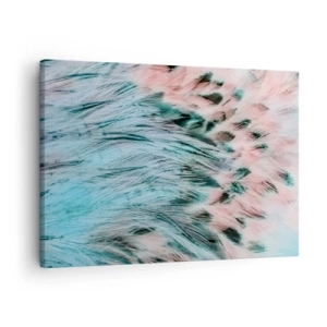 Obraz na plátne - Detailný záber na perie v pastelových zafírovo-ružových farbách - 70x50cm - Zafírovo ružové páperie - Moderná nástenná dekorácia do obývacej izby a spálne ARTTOR