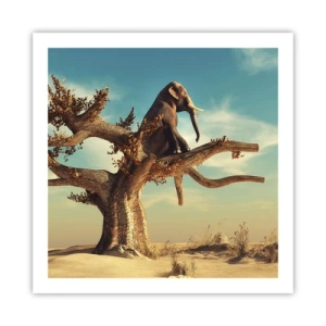 Plagát - Nový uhol pohľadu - 60x60 cm