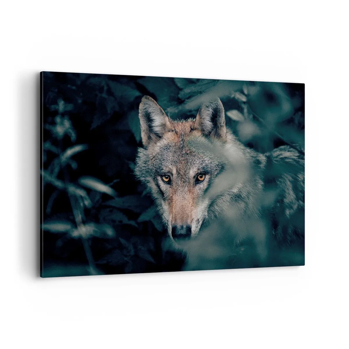 Obraz na plátne - Predátor - 120x80 cm