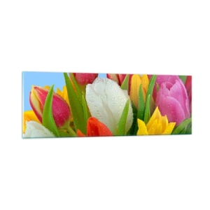 Obraz na skle - Kvetinová dúha v kvapkách rosy - 90x30 cm
