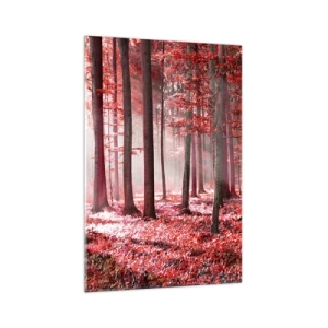 Obraz na skle - Červená je rovnako krásna - 70x100 cm