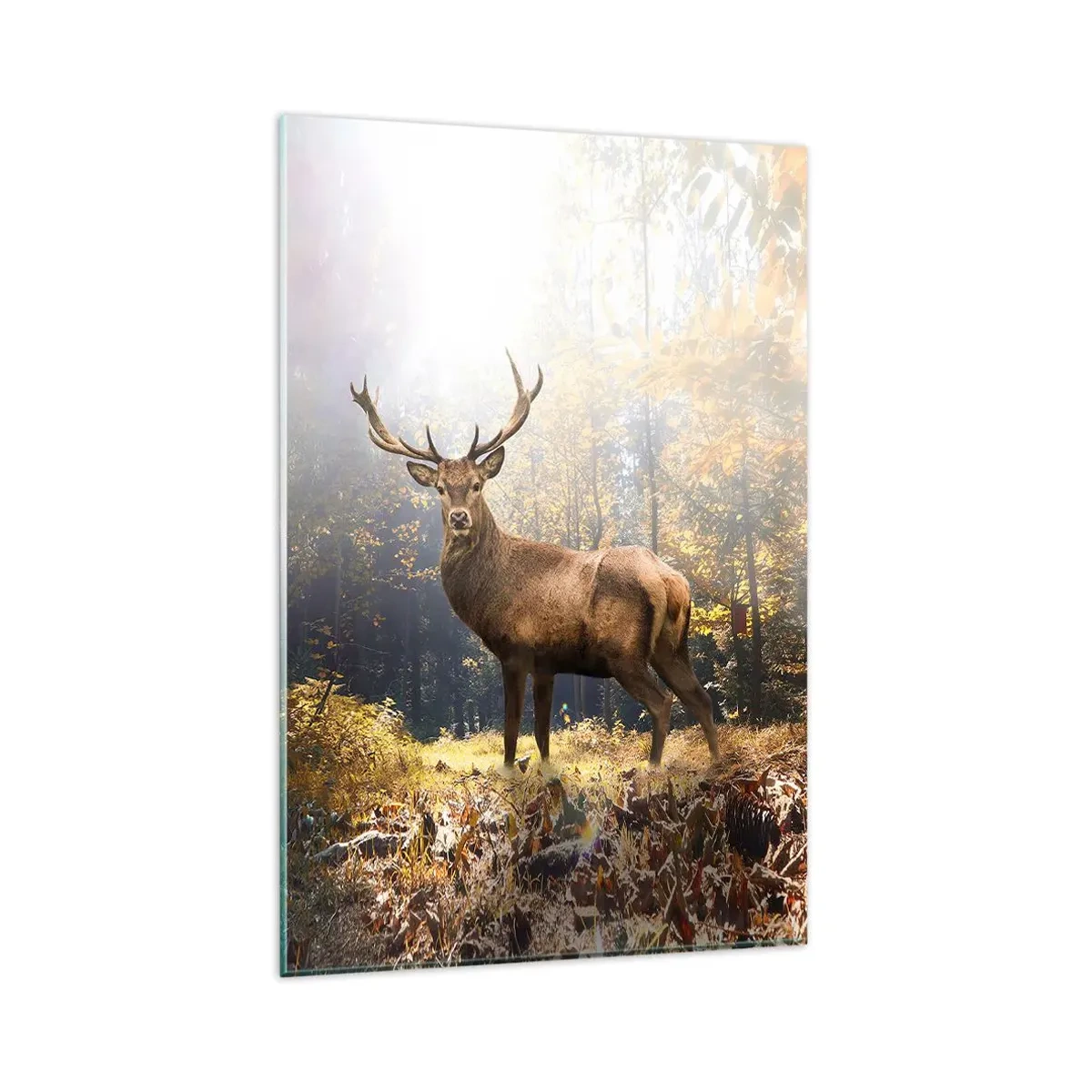 Obraz na skle - Plné dôstojnosti - 80x120 cm