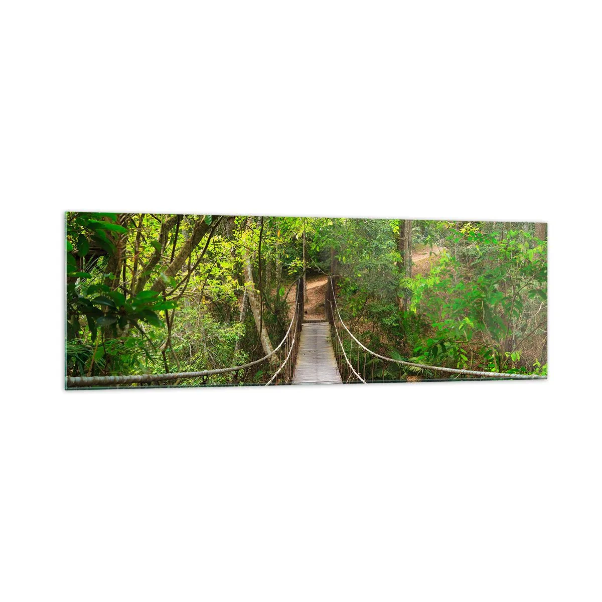 Obraz na skle - Lebo na záhrade rastú popínavé rastliny - 160x50 cm