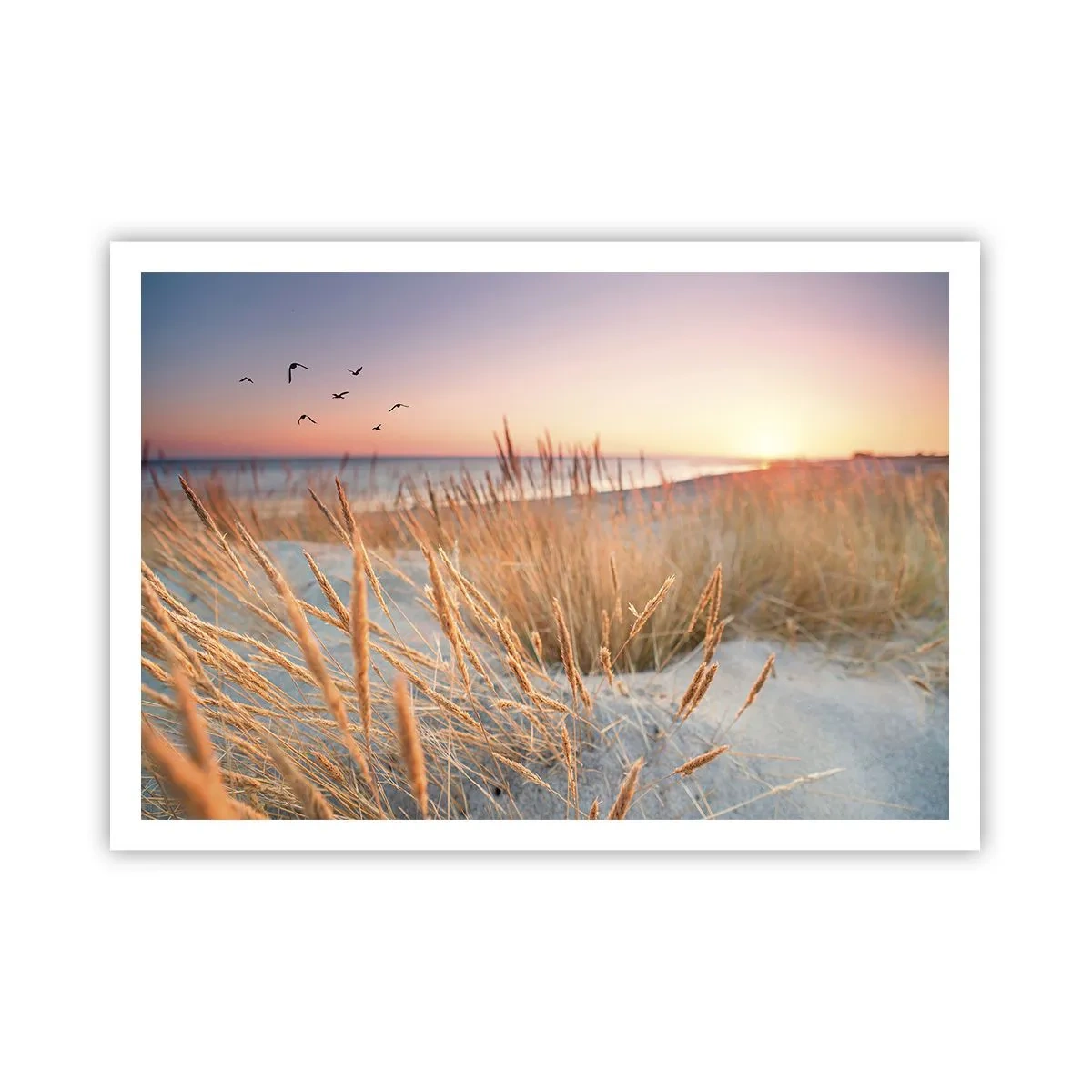 Plagát - Baltská uspávanka - 100x70 cm