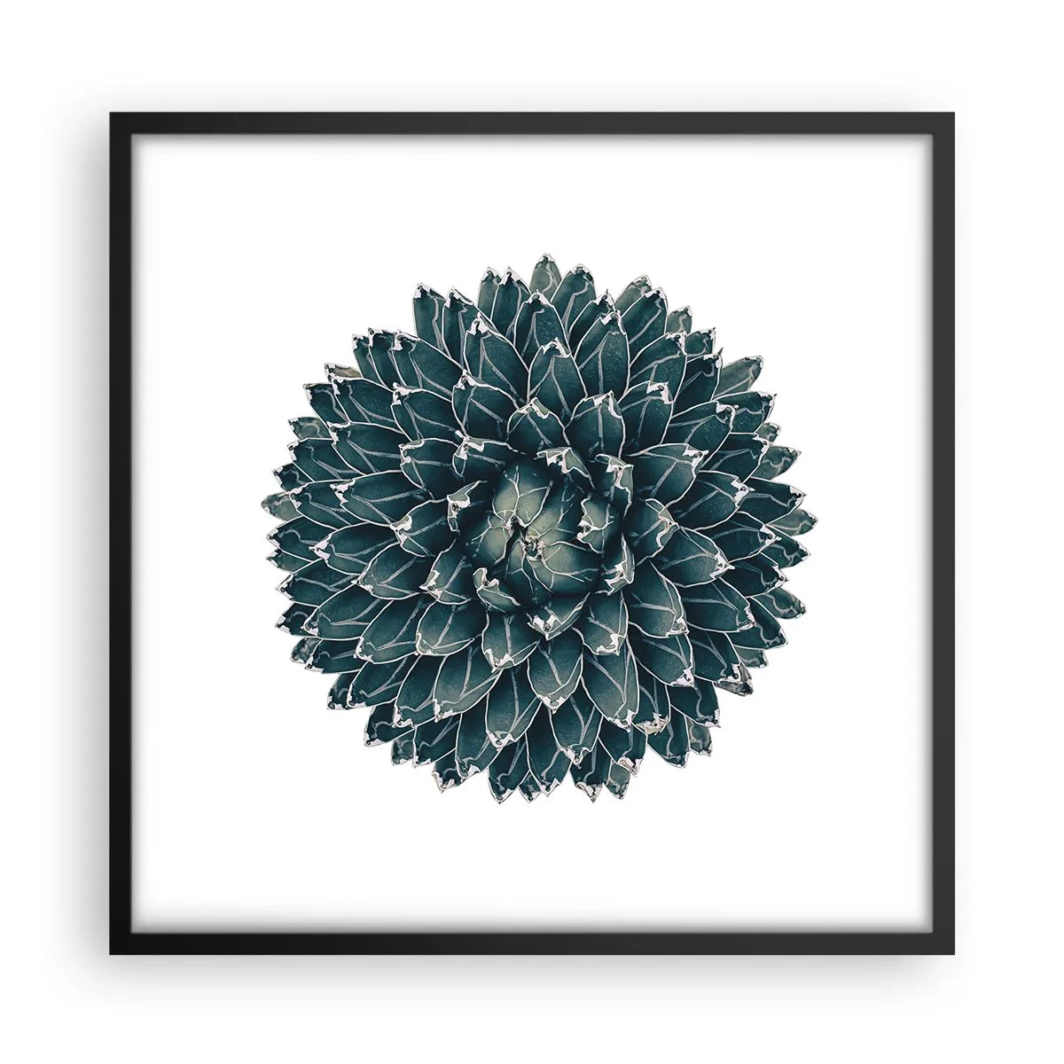 Plagát v čiernom ráme - Hviezda púšte - 50x50 cm