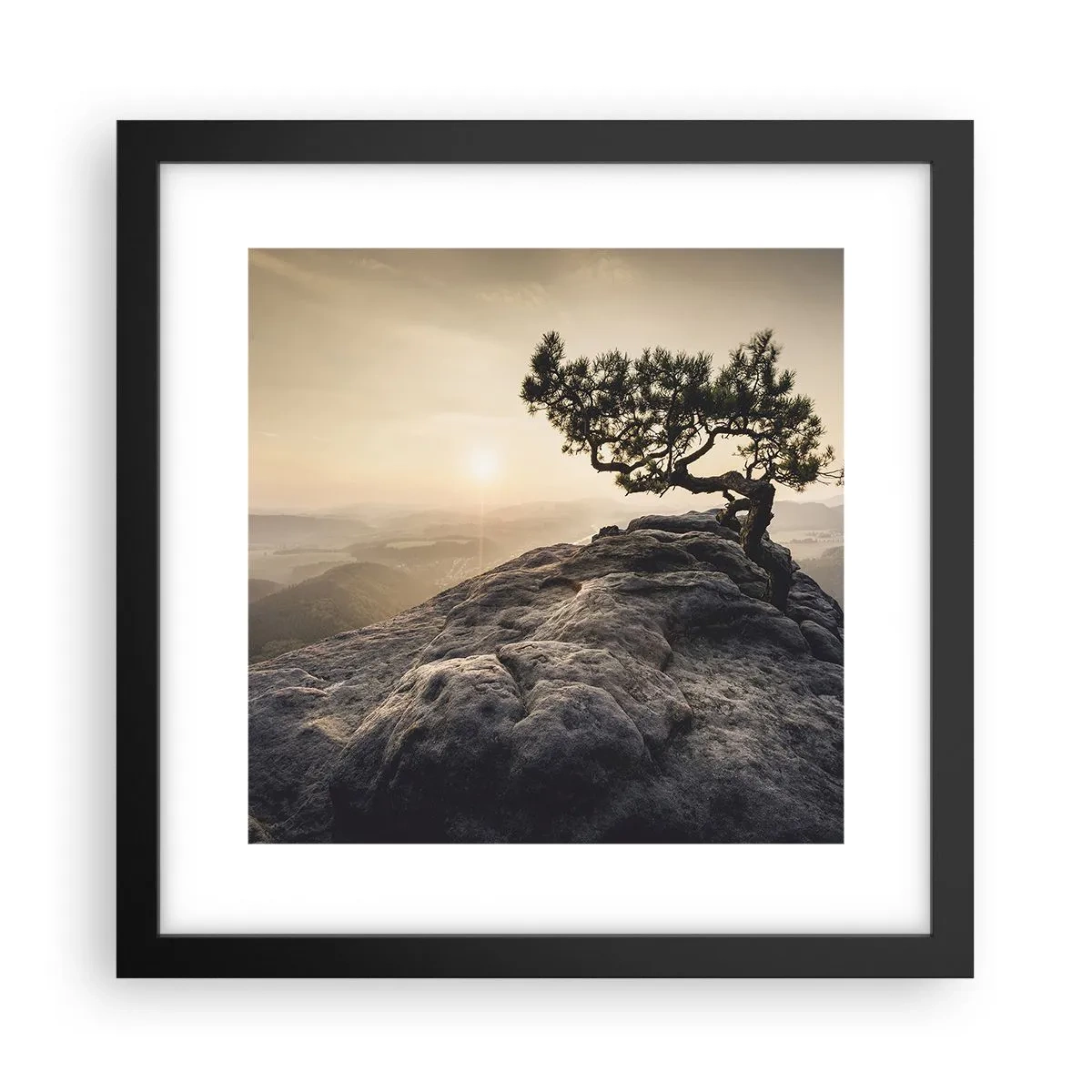 Plagát v čiernom ráme - Život vždy víťazí - 30x30 cm