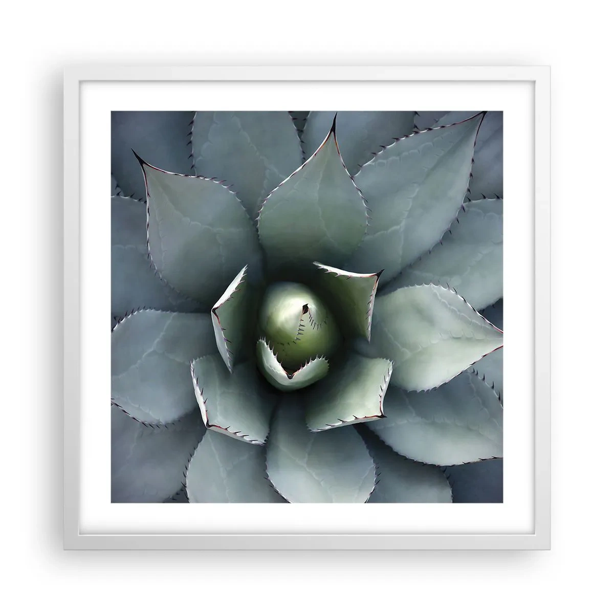 Plagát v bielom ráme - Zvádza a varuje - 50x50 cm