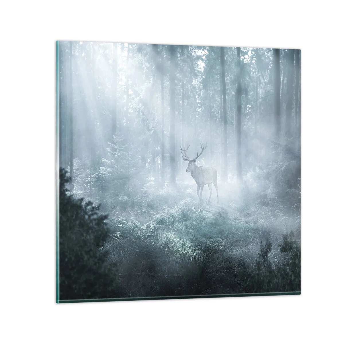 Obraz na skle - Ranná obchôdzka sídliska - 40x40 cm