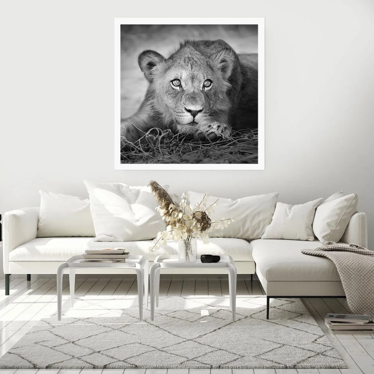 Plagát - Kráľovské šteňa - 50x50 cm