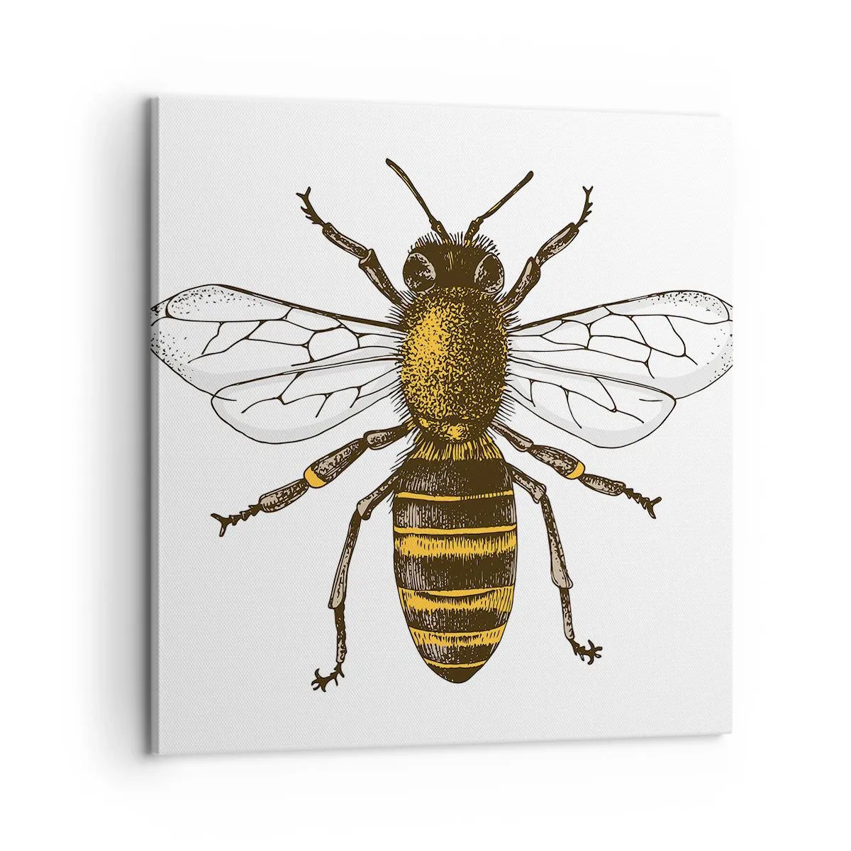 Obraz na plátne - Krásna a dobrá - 60x60 cm