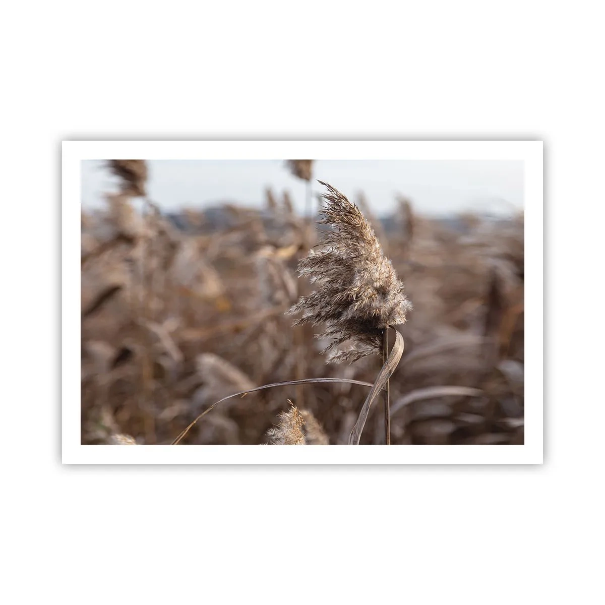 Plagát - Čas odletieť s vetrom - 91x61 cm