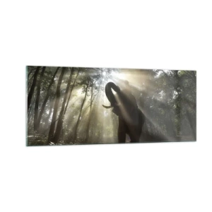 Obraz na skle - Pod šťastnou hviezdou - 100x40 cm