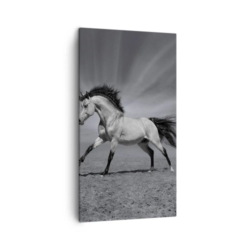 Obraz na plátne - Zrodený pre potešenie - 45x80 cm