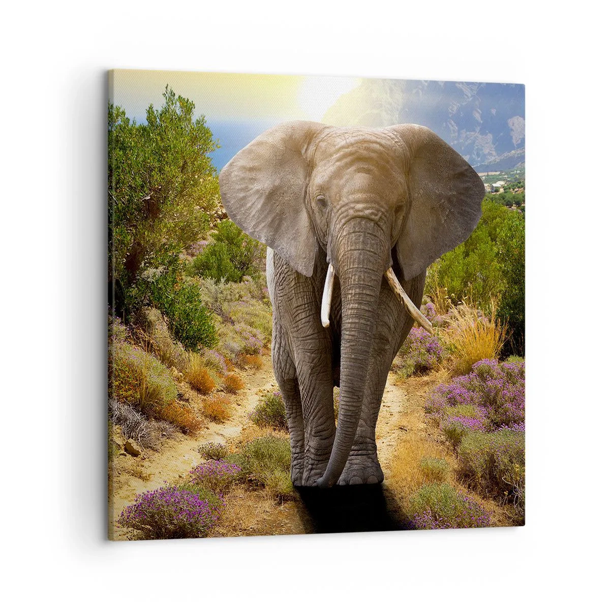 Obraz na plátne - Tak vyzeral Raj - 50x50 cm