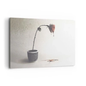 Obraz na plátne - Rosa dolorosa - 120x80 cm