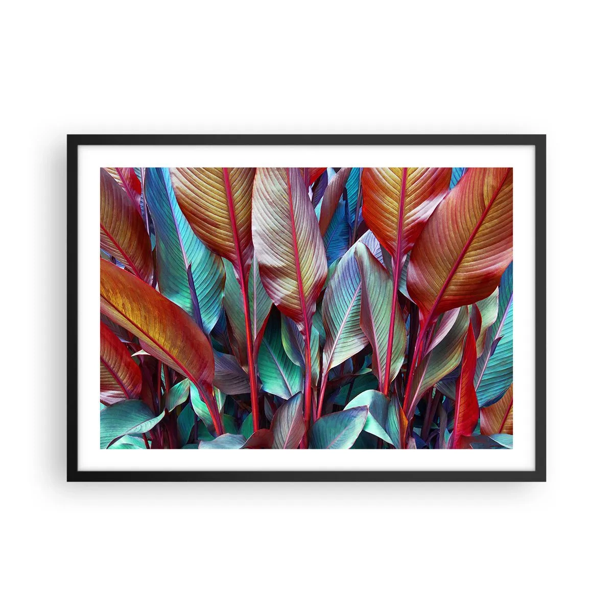 Plagát v čiernom ráme - Farebná húština - 70x50 cm
