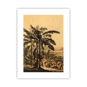 Plagát - V koloniálnom štýle - 30x40 cm