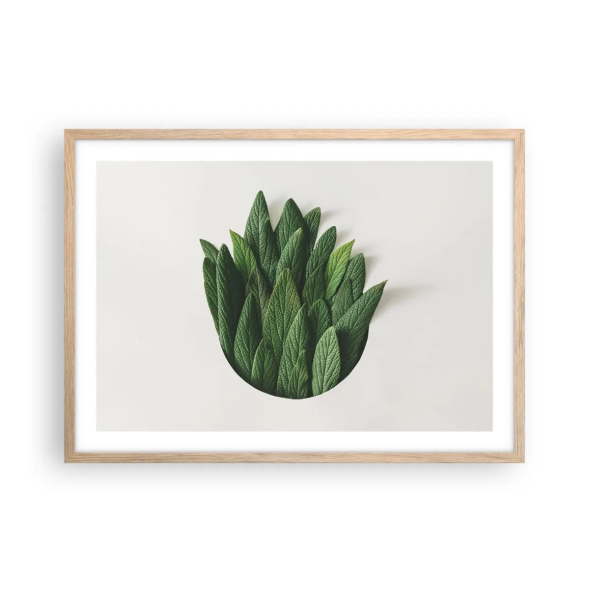 Plagát v ráme zo svetlého duba - Neukojiteľná zvedavosť - 70x50 cm