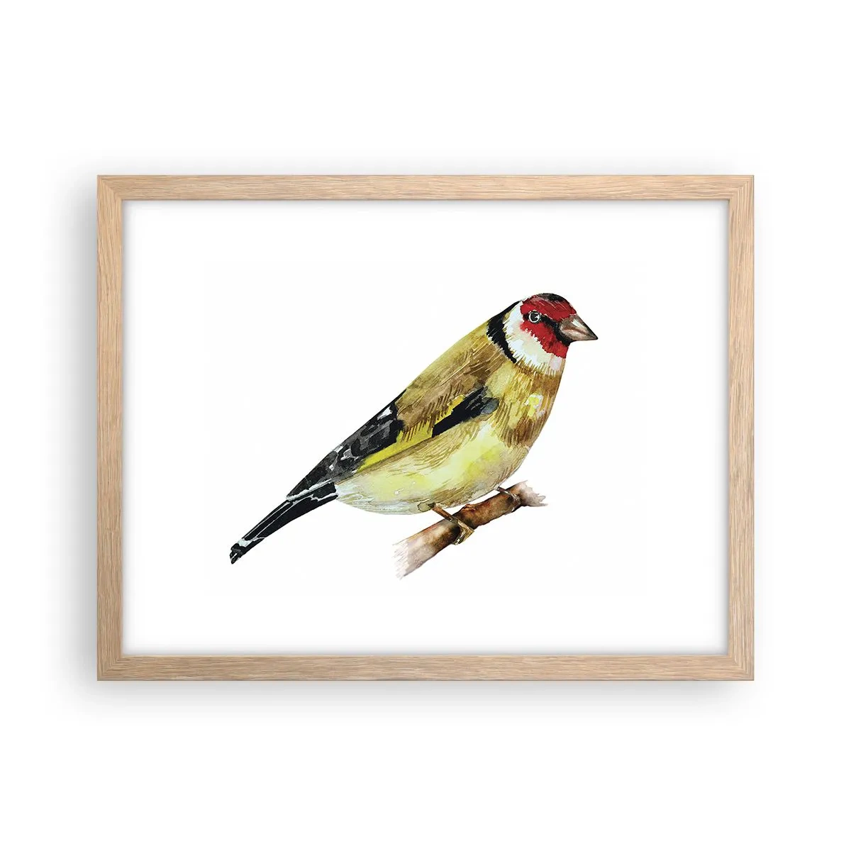 Plagát v ráme zo svetlého duba - Vtáčí portrét - 40x30 cm
