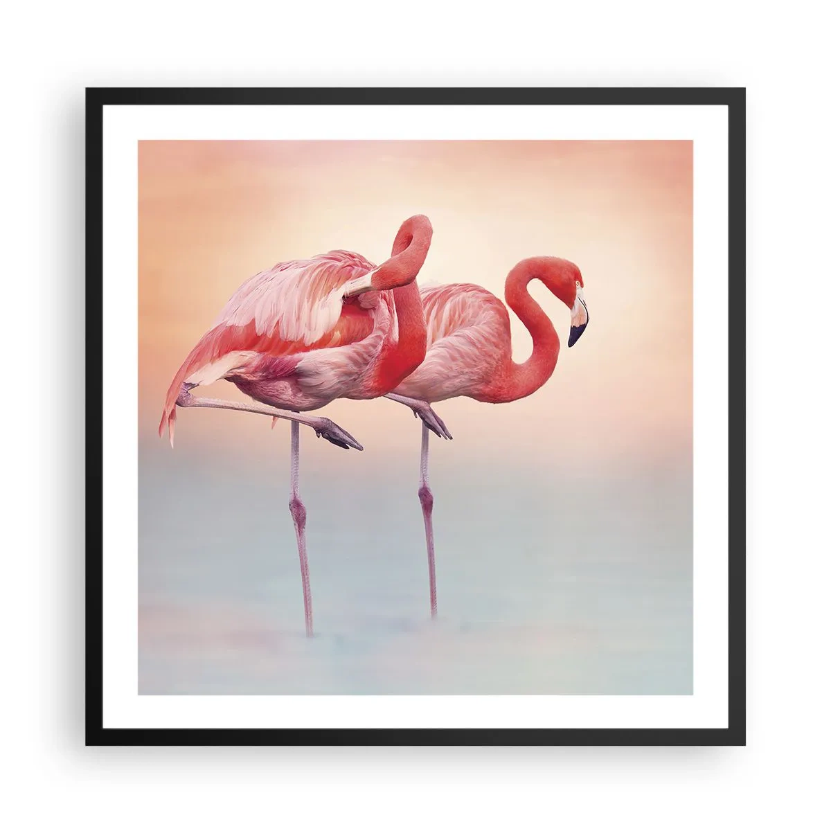 Plagát v čiernom ráme - Vo farbe zapadajúceho slnka - 60x60 cm