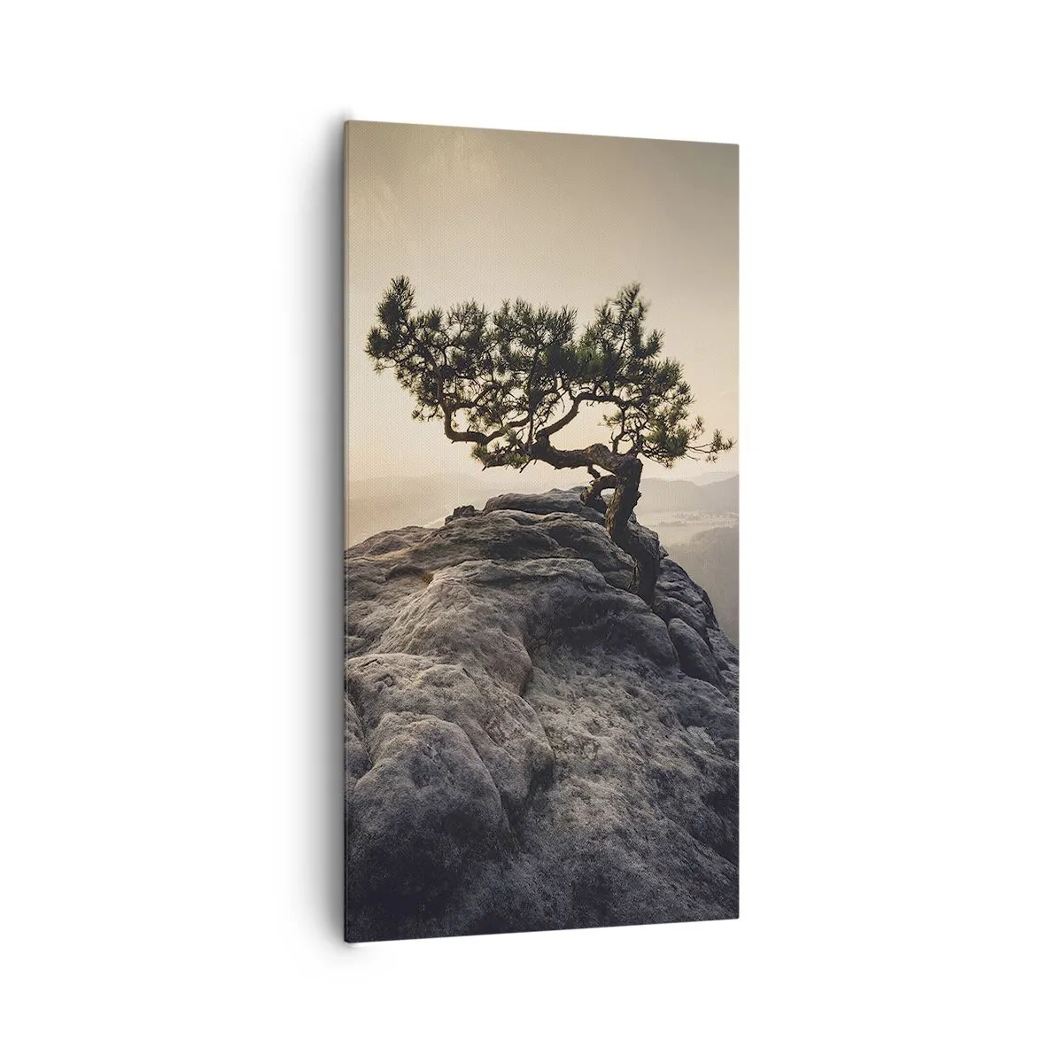 Obraz na plátne - Život vždy víťazí - 65x120 cm