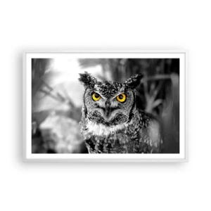 Plagát v bielom ráme - Nič sa neschová - 91x61 cm