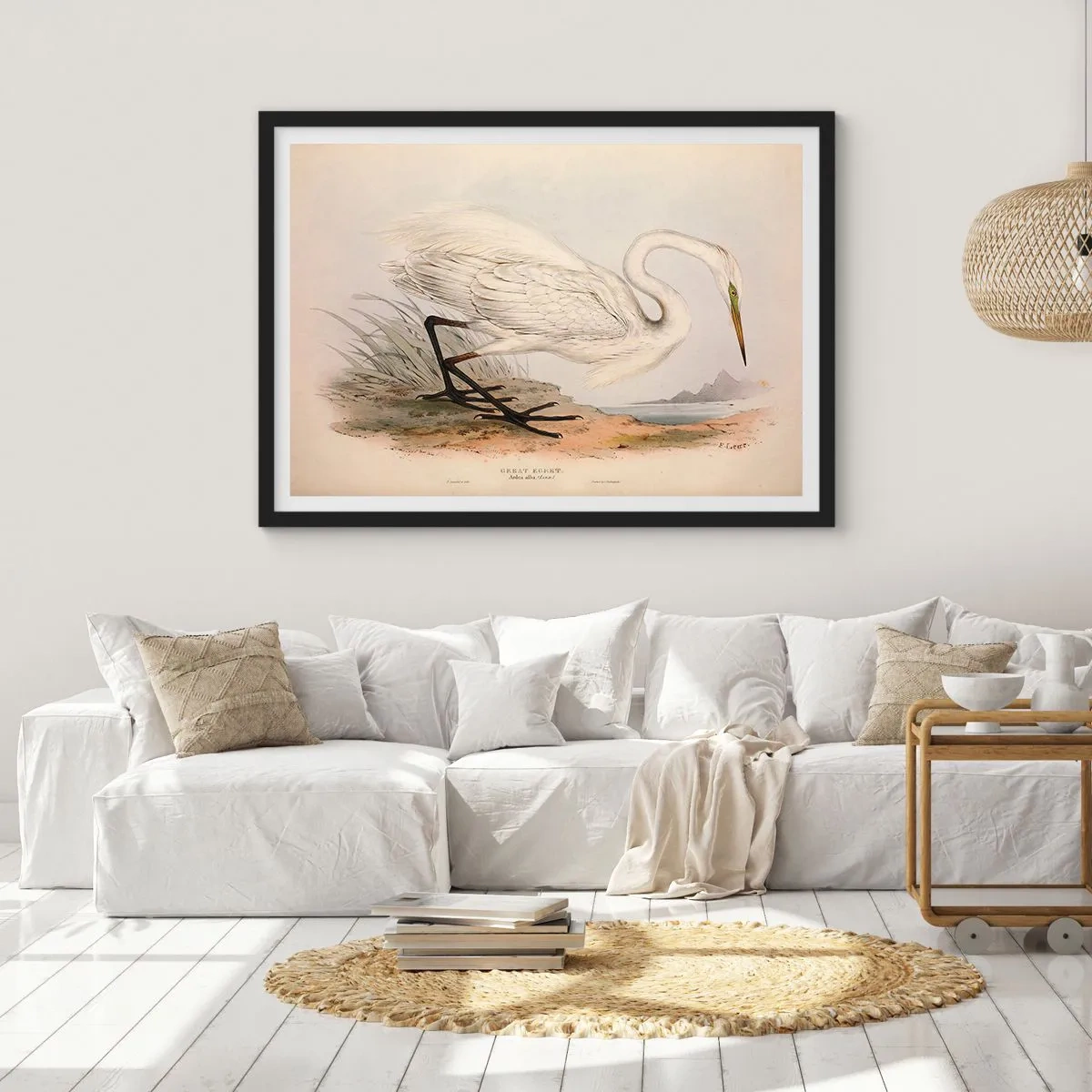 Plagát v čiernom ráme - Pani rákosín - 70x50 cm