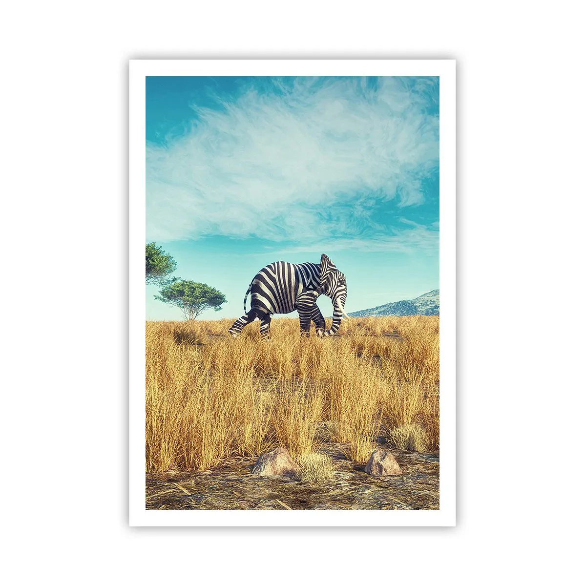 Plagát - Šedá už nie je v móde - 70x100 cm