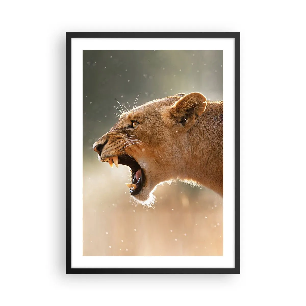Plagát v čiernom ráme - Detailný záber na rozzúrenú levicu v plnom pohybe - 50x70cm - Snaž sa nepočúvať - Moderná nástenná dekorácia do obývacej izby a spálne ARTTOR