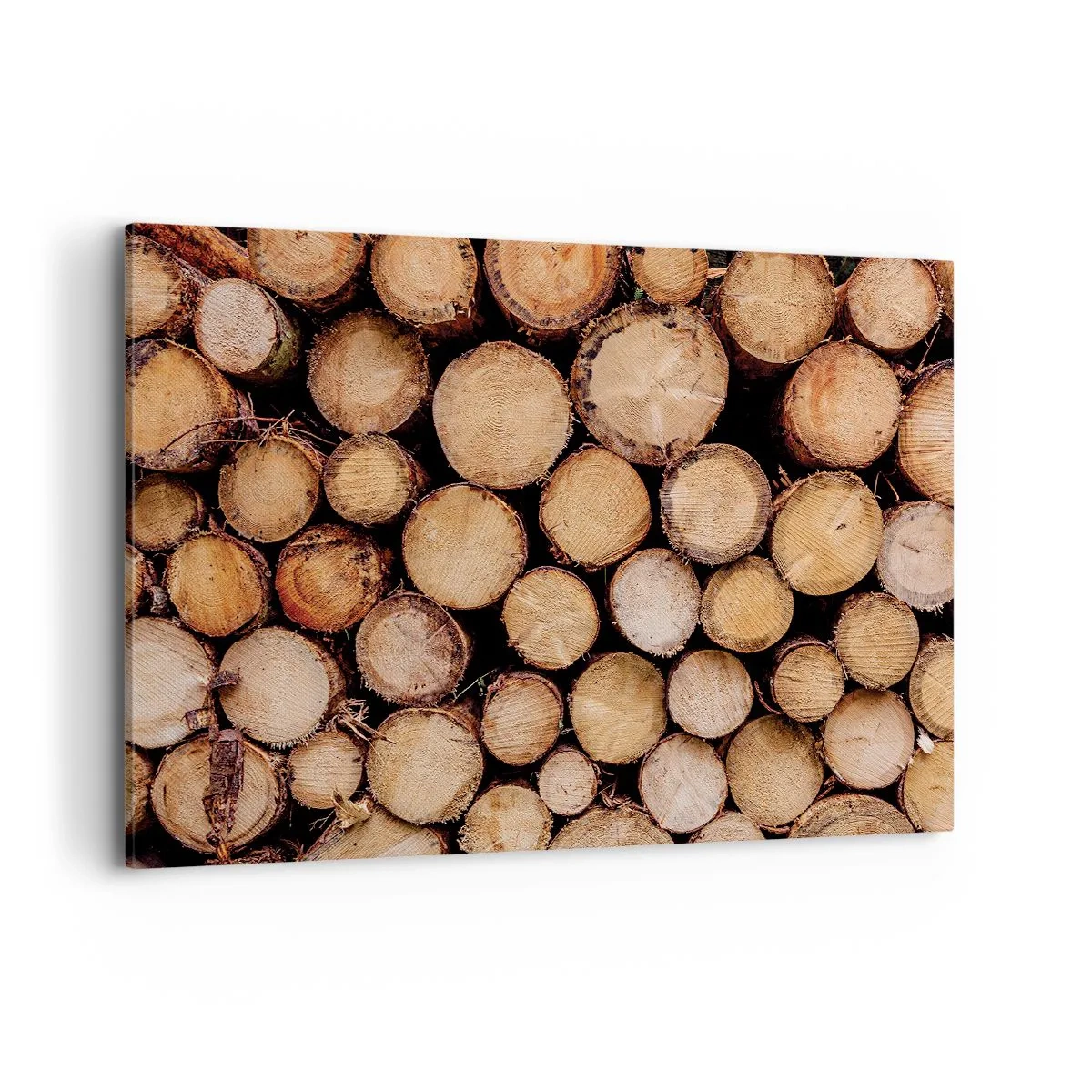 Obraz na plátne - Nový začiatok - 100x70 cm