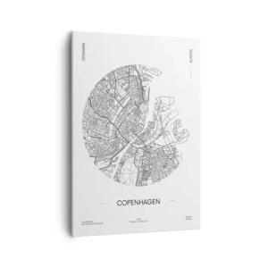 Obraz na plátne - Anatómia Kodane - 50x70 cm