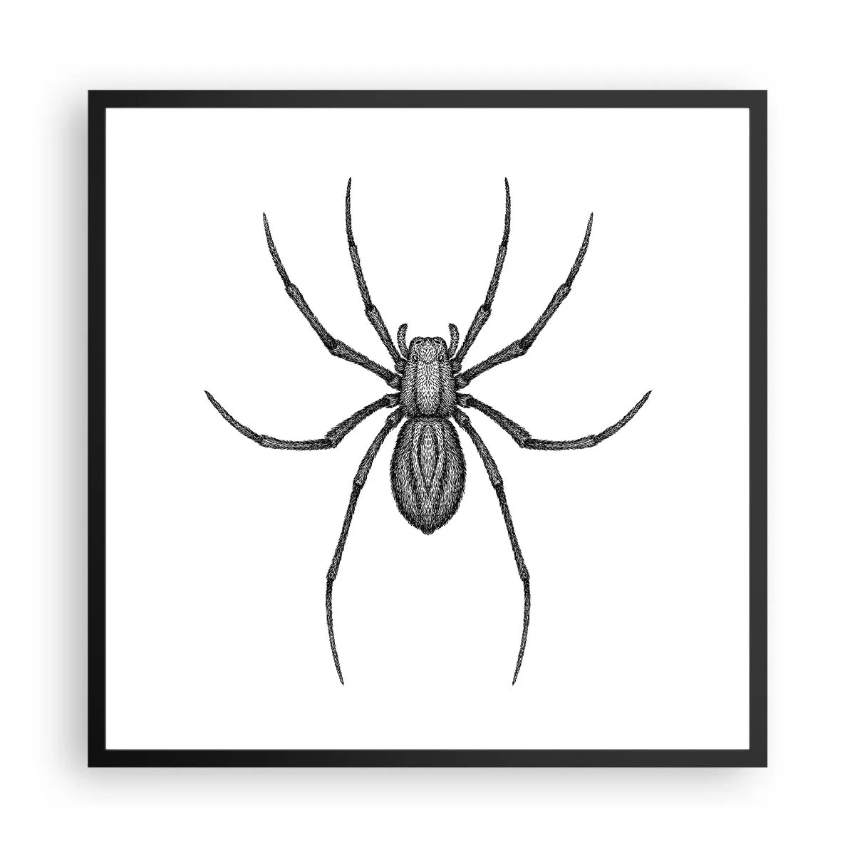 Plagát v čiernom ráme - Znepokojivá presnosť - 60x60 cm