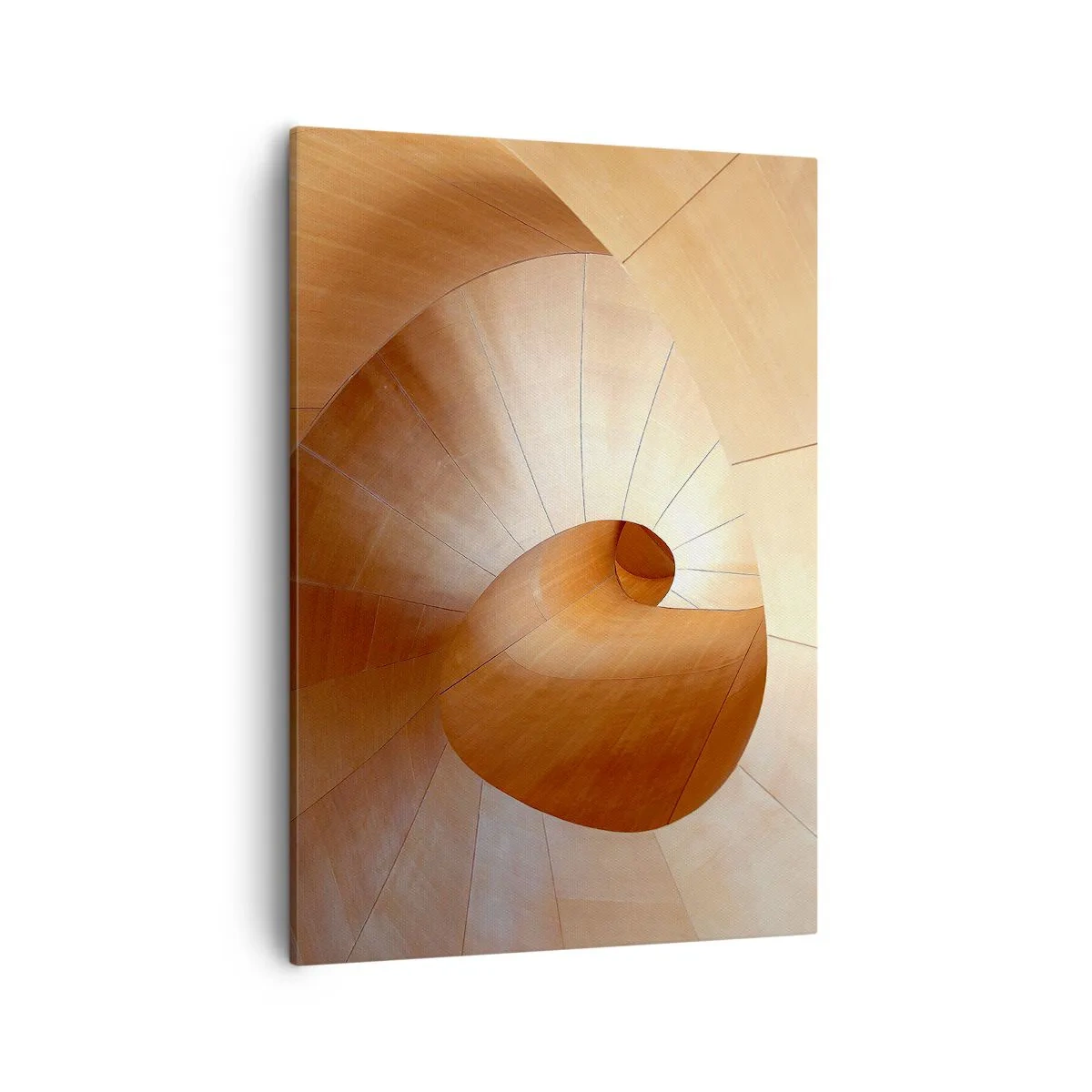Obraz na plátne - Architektonická serpentína - 50x70 cm